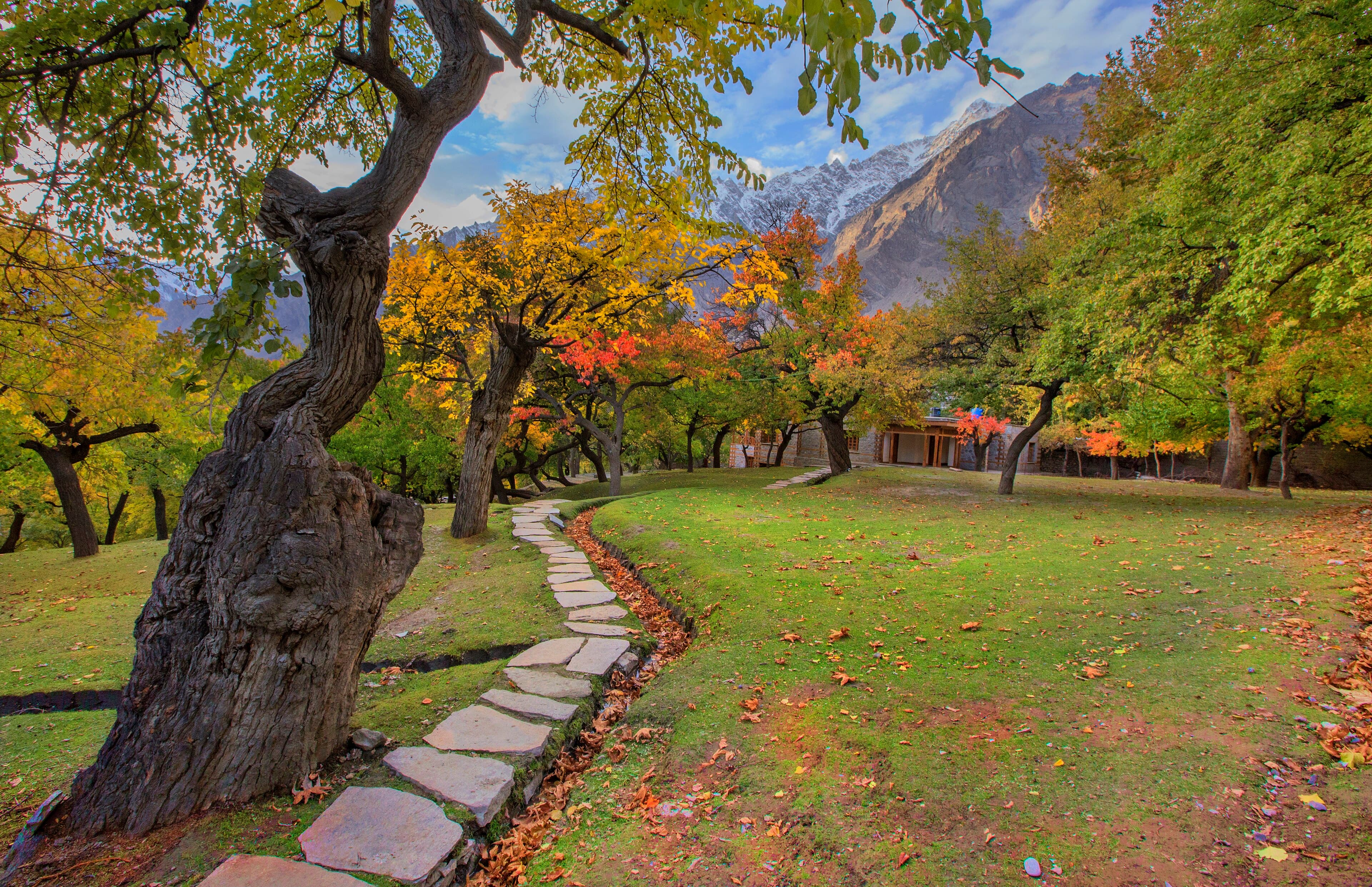Spring blossom in the Hunza Valley below snow peaks