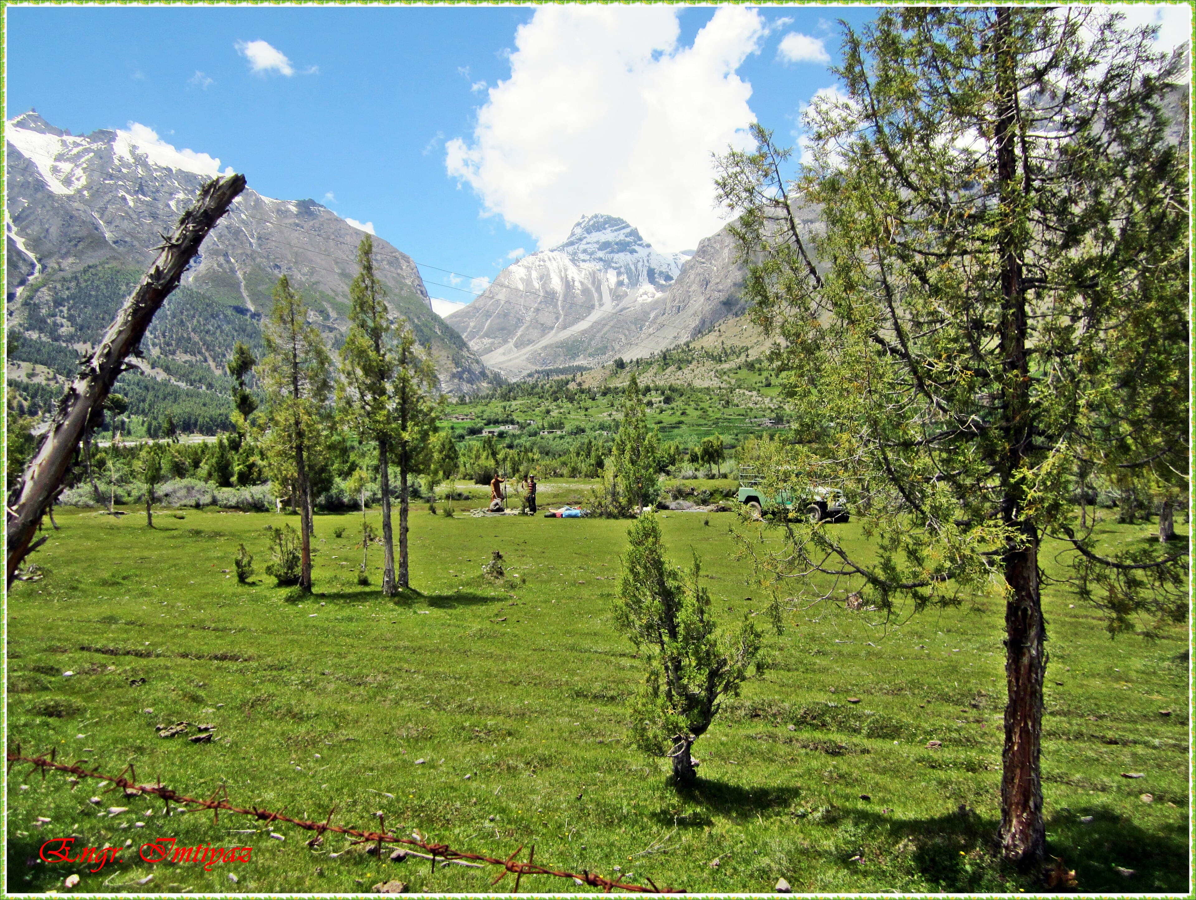 Green meadows and pine forest in Basho Valley above Skardu