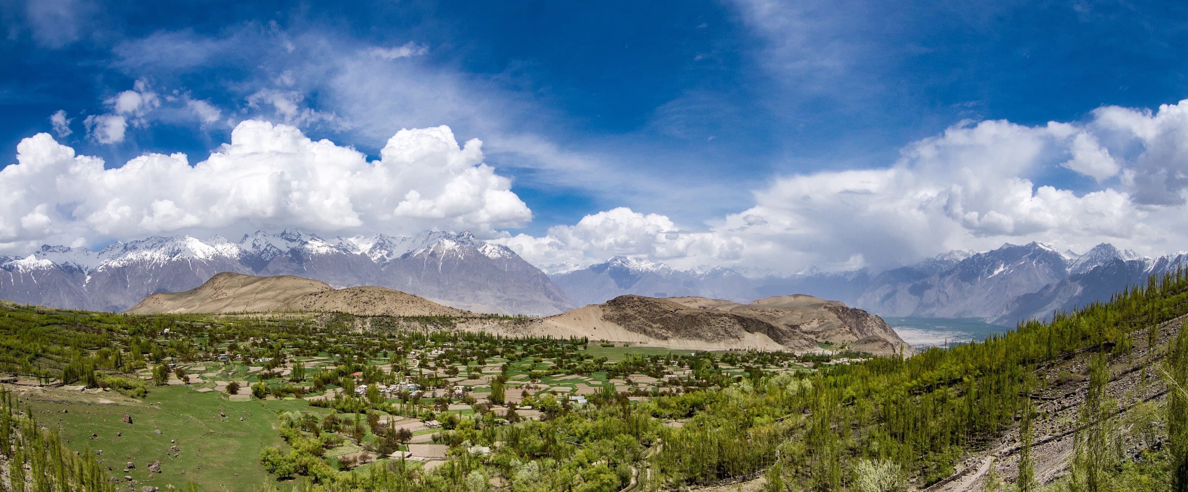 Apricot blossom over terraced village fields in Chunda Valley near Skardu
